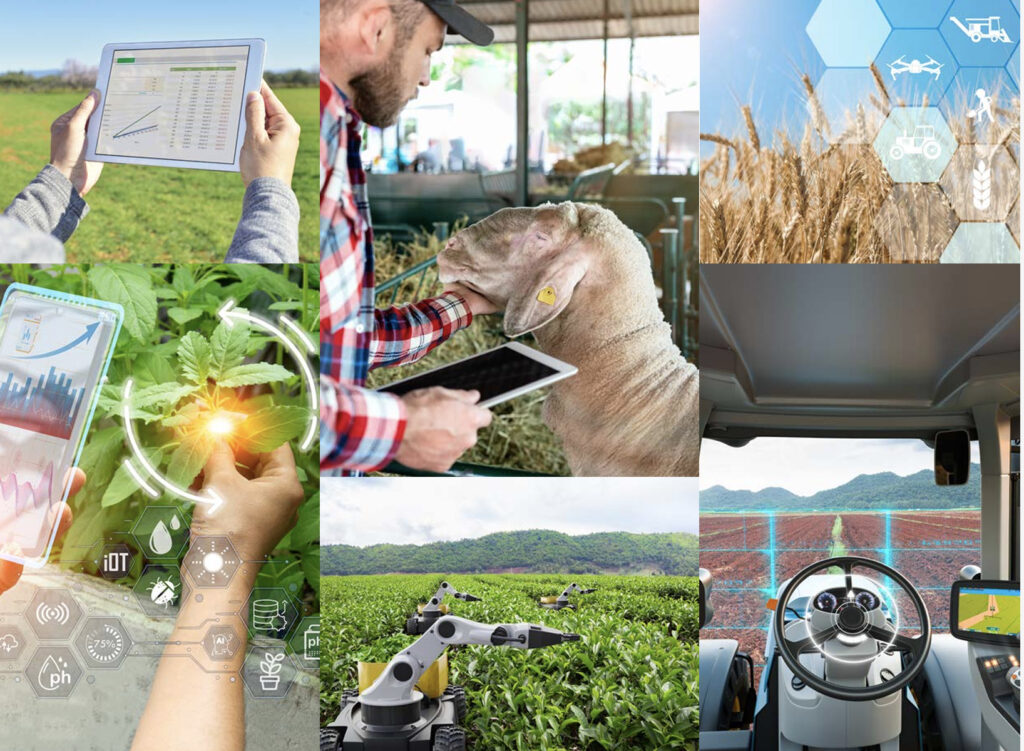 informe sobre el sector agro